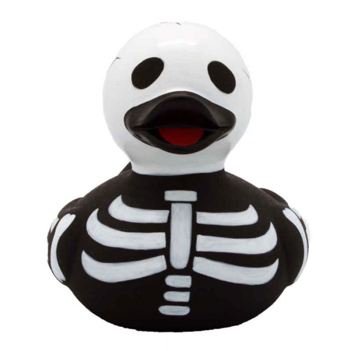 Skelett Ente