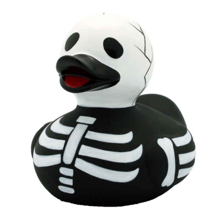Skelett Ente
