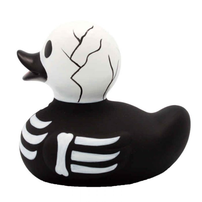 Skelett Ente