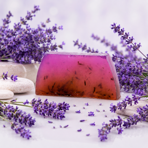 Lavendel Flower