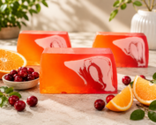 Cranberry & Orange Seife