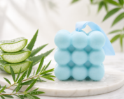 Massageseife Teebaum & Aloe Vera